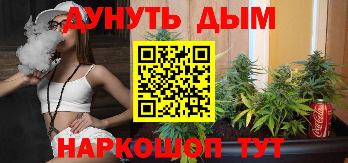 Шишки марихуана сатива  Вход с VPN  Бошки Шишки план  Марихуана конопля  Каннабис THC 21%  Щёкино 